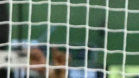 Gareth Bale suma dos goles en cuatro partidos disputados con el LAFC.