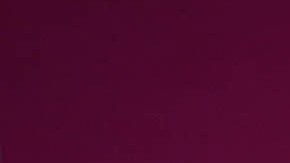 Pelosi hace ver débil a Biden tras visita a Taiwán, asegura exembajador de EE.UU.