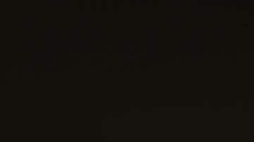 Trump ha dejado abierta la posibilidad de buscar la presidencia para 2024.