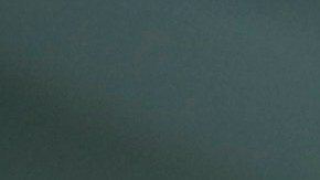 Alex Jones tendrá que compensar a la familia de una de las víctimas de la masacre en Sandy Hook.