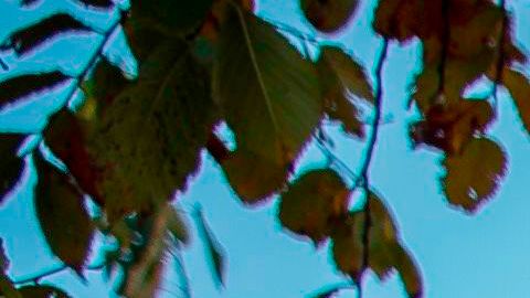 Dormir en una tienda de campaña en un espacio público en Tennessee se castiga como delito grave.