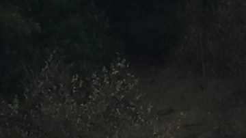 Según el estudio, ríos atmosféricos causarán las inundaciones, como ocurrió en 2019 en Guerneville, California.