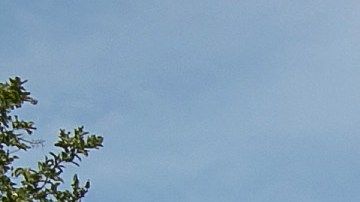 Texas y Arizona están enviando cientos de familias en busca de asilo a Nueva York.