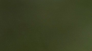 Hombre con un machete fue abatido a tiros por la policía de Los Ángeles