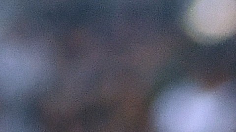 Carlos vela respondió de forma tajante al entrenador del Club América.