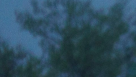 Niño de 3 meses muere al ser dejado dentro de un auto a más de 100 grados en Washington