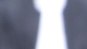 Carlos Vela sigue sumando puntos con LAFC en la MLS.