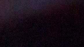 A worker at The Original Ninfa's wears gloves while making tortillas for takeout orders amid the novel coronavirus pandemic on May 1, 2020 in Houston, Texas. - Texas on Friday became the largest US state to begin easing coronavirus lockdown measures despite reporting a single-day high in deaths. Stores, restaurants, movie theaters, malls, museums and libraries were allowed to reopen in the Lone Star State but with limited occupancy -- just 25 percent of their capacity. (Photo by Mark Felix / AFP) (Photo by MARK FELIX/AFP /AFP via Getty Images)