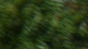 Estudiantes en la Universidad de Carolina del Norte en Chapel Hill.