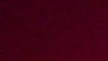 Beverly Hills police officers patrol in their car on November 1, 2020 in Beverly Hills. (Photo by Chris DELMAS / AFP) (Photo by CHRIS DELMAS/AFP via Getty Images)