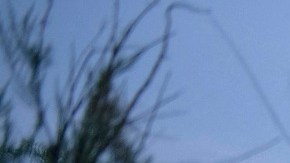 Al menos 200 muertes se han registrado en el Valle del Río Grande.