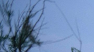 Al menos 200 muertes se han registrado en el Valle del Río Grande.