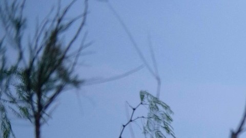 Al menos 200 muertes se han registrado en el Valle del Río Grande.