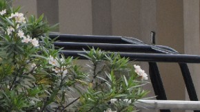 crimen en México