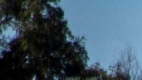 El gobernador de Texas también ha usado contenedores para "cerrar" la frontera con México.