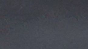 FOTO: Tortuga gigante se vuelve famosa tras bloquear por varias horas las vías del tren en Inglaterra