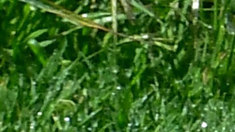 An automated sprinkler waters grass in front of homes in Alhambra, California on April 27, 2022, a day after Southern California delared a water shortage emergency with unprecedented new restrictions on outdoor watering for millions of people living in Los Angeles, San Bernardino and Ventura counties. - Southern California's Metropolitan water district will allow for outdoor watering tp just one day per week effective June 1st. (Photo by Frederic J. BROWN / AFP) (Photo by FREDERIC J. BROWN/AFP via Getty Images)