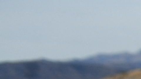 No cesan los descubrimientos de restos humanos en las aguas del lago Mead en medio de la sequía