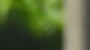 Miles de latinos aspiran a volverse ciudadanos.