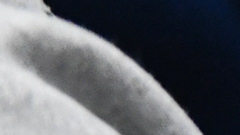 Crece demanda de mochilas antibalas contra la epidemia de tiroteos escolares en EE.UU.