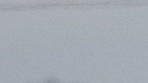 VIDEO: Mujer es detenida, se quita las esposas, roba rifle y abre fuego contra policías dentro de la misma patrulla