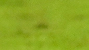 El jugador tenía 4 partidos con la selección de El Salvador.