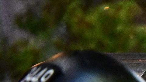 Los disturbios de junio de 1943 tomaron su nombre de los trajes holgados que usaban muchos jóvenes de minorías durante esa época, pero la violencia se debió más a la tensión racial que a la moda.