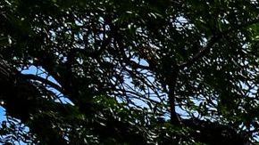 A casi tres meses de la masacre en Uvalde, sobrevivientes del tiroteo reciben becas y buscan retomar normalidad