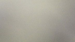 Soldado de la Guardia Nacional se desvanece en entrenamiento y muere días después en Carolina del Sur