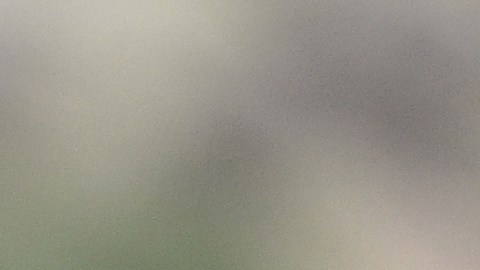 Soldado de la Guardia Nacional se desvanece en entrenamiento y muere días después en Carolina del Sur