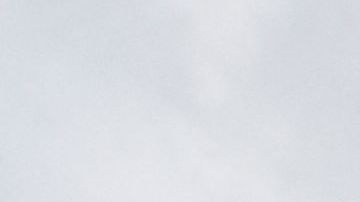 La afición de Pumas vive días de euforia desde que la estrella Dani Alves arribó al club.