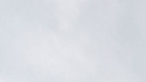 La afición de Pumas vive días de euforia desde que la estrella Dani Alves arribó al club.