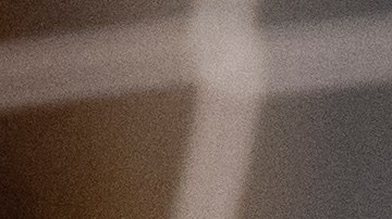 El neerlandés no ha jugado ni un minuto