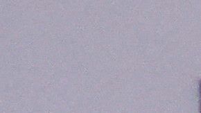 Brittney Griner es declarada culpable sin conocer su tiempo de condena