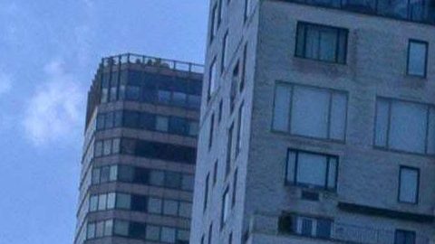 VIDEO: Caballo de carruaje colapsa en NYC de forma dramática ante altas temperaturas