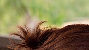 Rescate de los 10 mineros atrapados en Sabinas Coahuila podría tardar entre 6 y 11 meses, señalan familiares