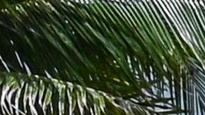 Equipo legal de Trump pide a juez que designe un “especialista” para analizar documentos incautados en Mar-a-Lago