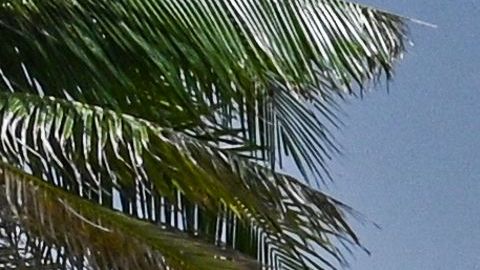 Equipo legal de Trump pide a juez que designe un “especialista” para analizar documentos incautados en Mar-a-Lago