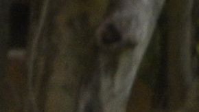 FBI se llevó una docena de cajas en redada a casa de Trump, asegura su abogada