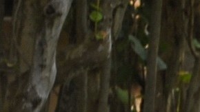 El expresidente Trump confirmó una redada del FBI en Mar-a-Lago.