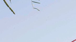 México recurrirá a la “opinión” internacional para el rescate de los 10 mineros de Sabinas Coahuila