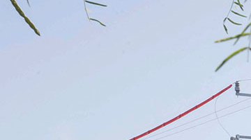 México recurrirá a la “opinión” internacional para el rescate de los 10 mineros de Sabinas Coahuila