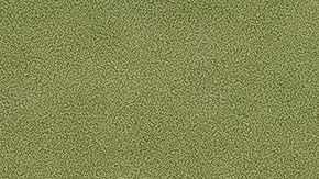 Selección de México