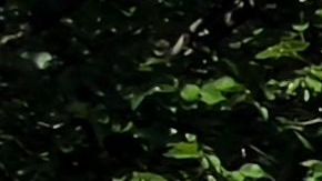 Un hombre armado choca su vehículo contra barricada cerca de la Corte Suprema y luego se suicida