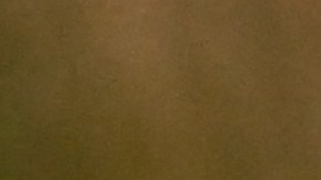 Cheney dijo con tono desafiante en su discurso de concesión: "Ahora comienza el verdadero trabajo".