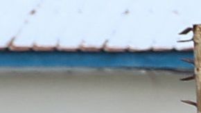 Oficiales de seguridad patrullan en el lugar de las explosiones en Mogadiscio el 20 de agosto de 2022.