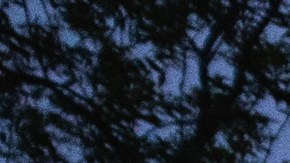 Junta escolar de Uvalde vota por unanimidad despido del jefe de policía del distrito escolar, Pete Arredondo