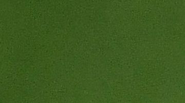 El jugador tenía 27 años de edad.