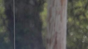 Tras grabación que revela brutal paliza a un hombre en Arkansas, suspenden a tres policías