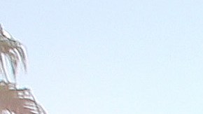 Esperanza de vida en EE.UU. se reduce en casi tres años, el peor descenso de dos años en un siglo